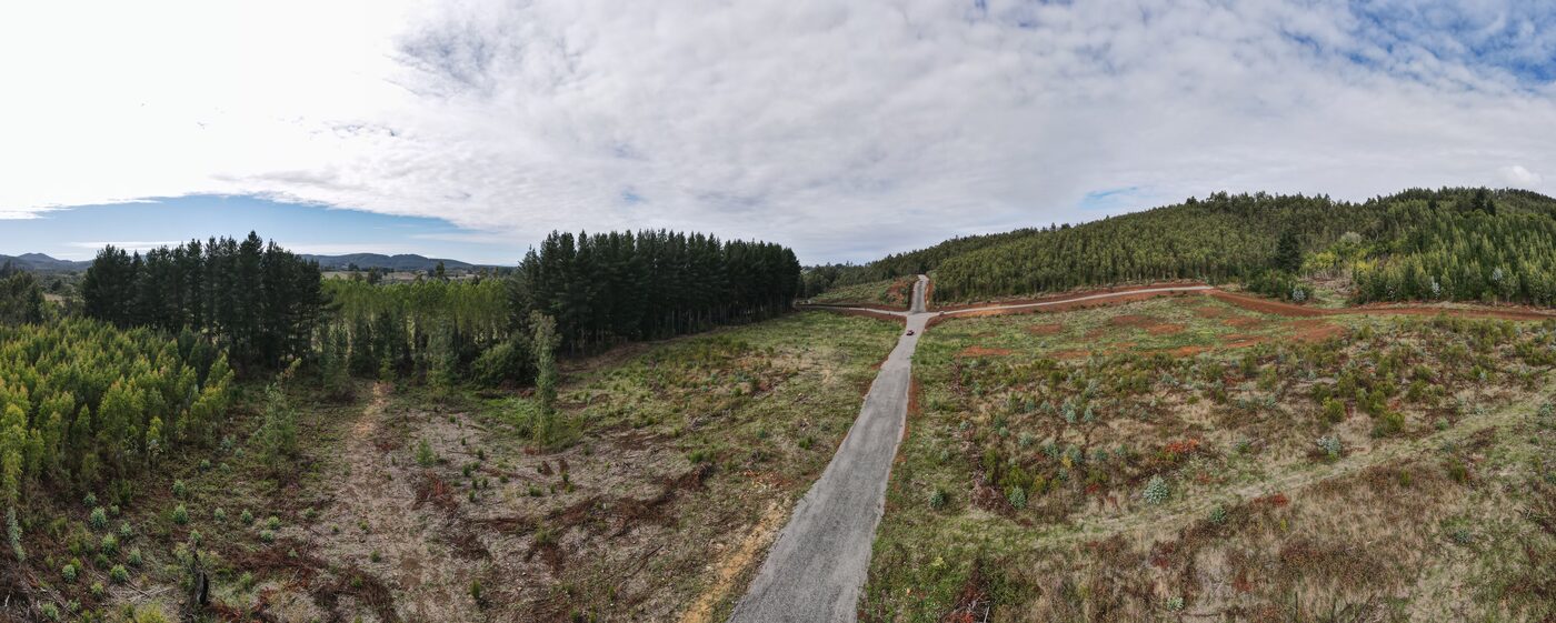 Camino subiendo entre las parcelas con vista a los cerros
