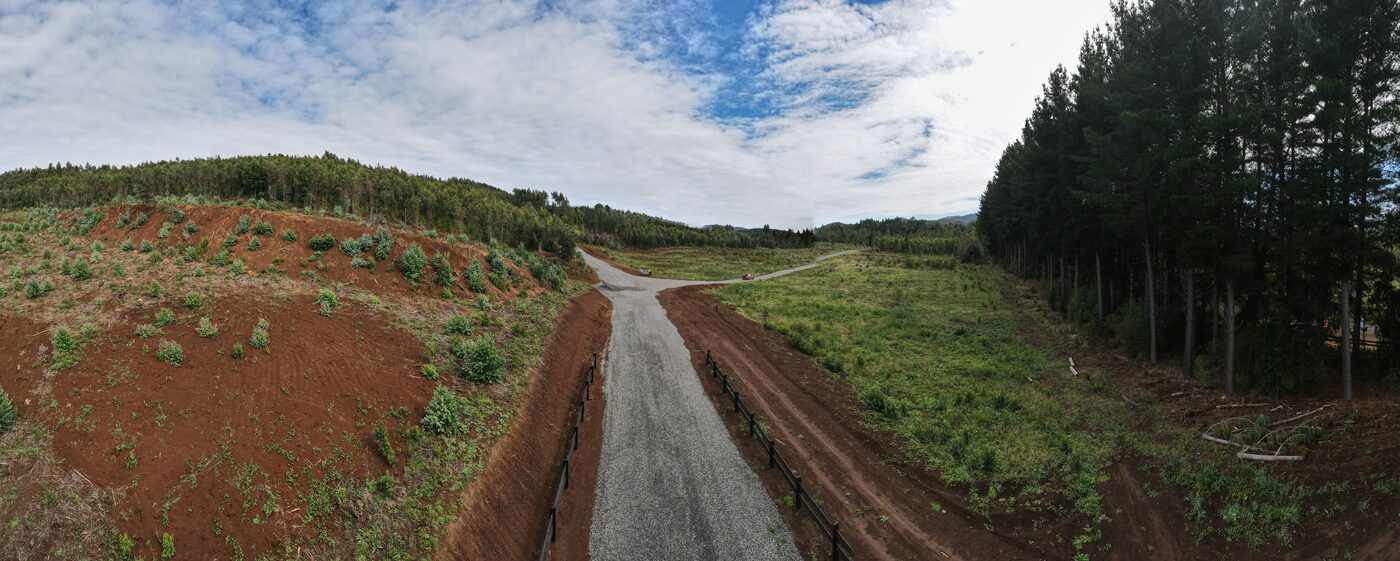 Camino panorámico entre parcelas y bosque