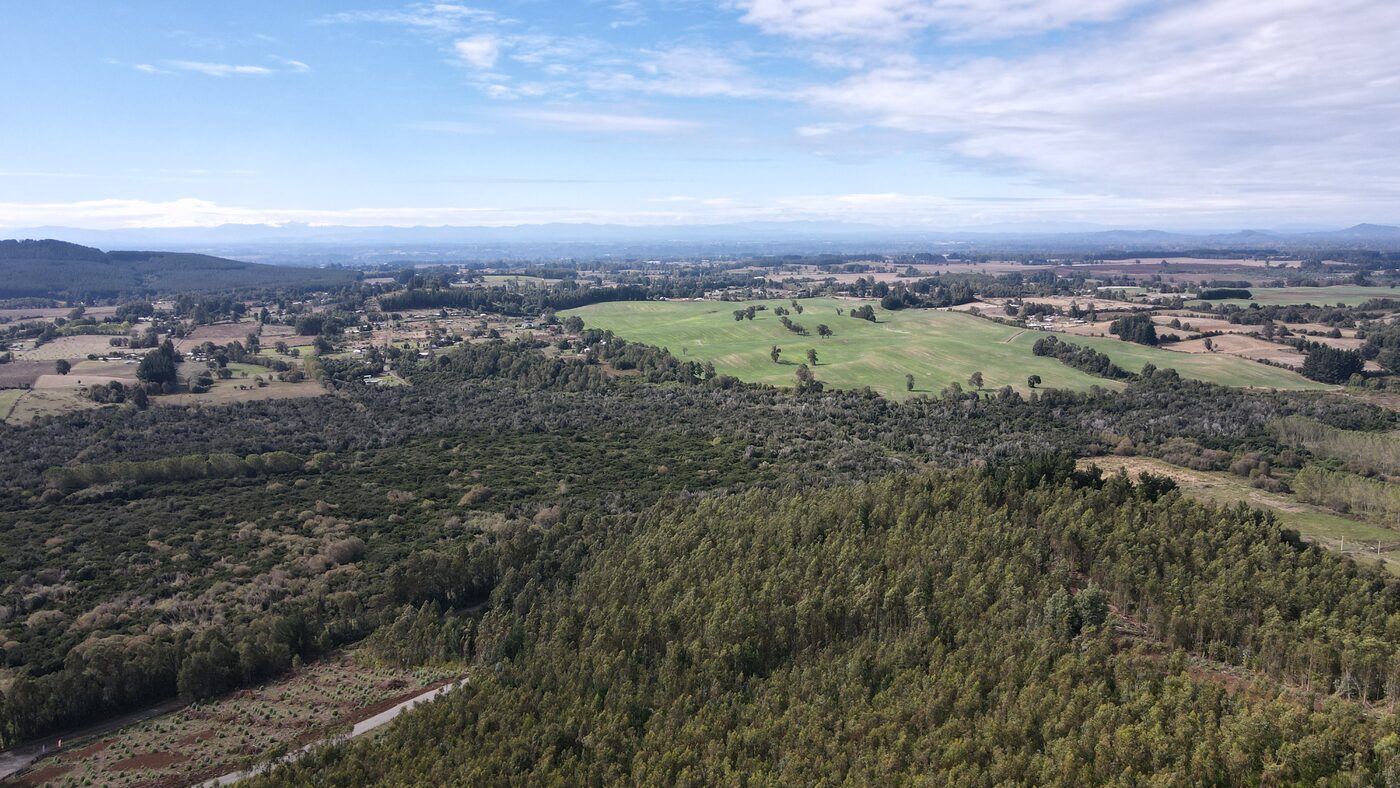 Vista aérea del camino interior y praderas de Refugio Pumalal