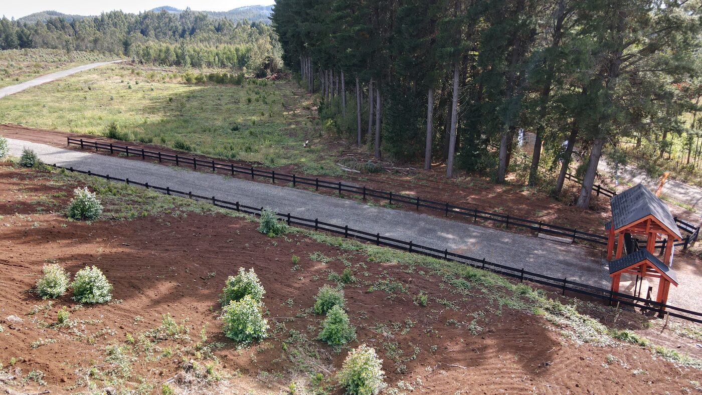 Parcelas con caminos trazados y vegetación nativa