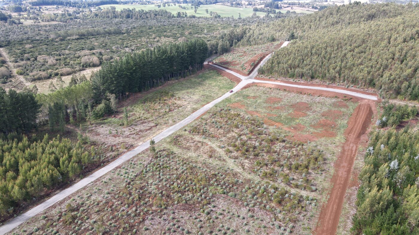 Parcelas verdes con vista al bosque